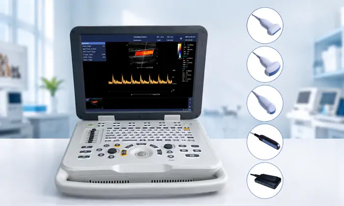 Veterinary Ultrasound